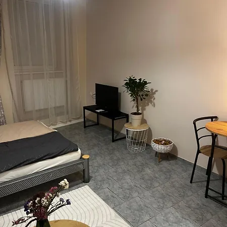Apartment U Hradu